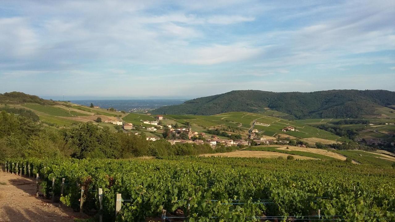 Готель Domaine De La Fee-Licite Jullie Екстер'єр фото